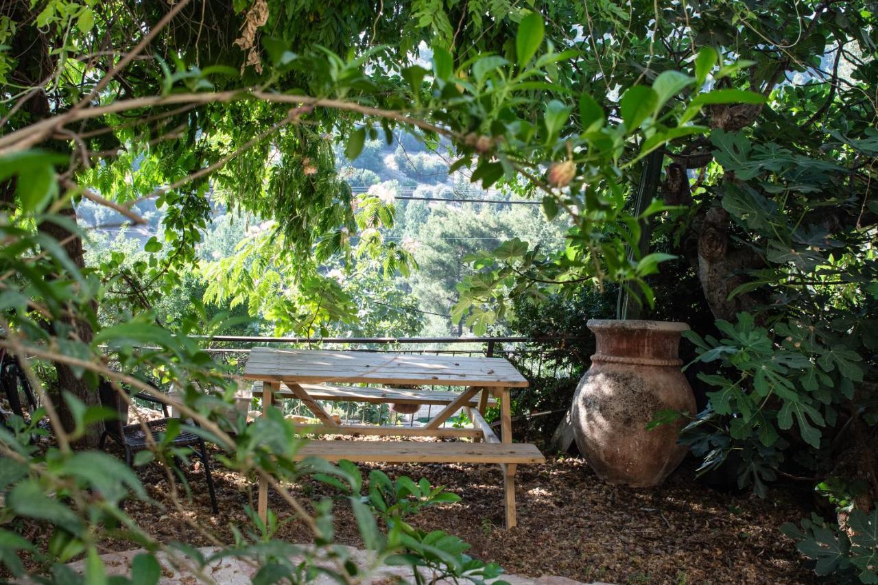 Harmony Inn صفد المظهر الخارجي الصورة